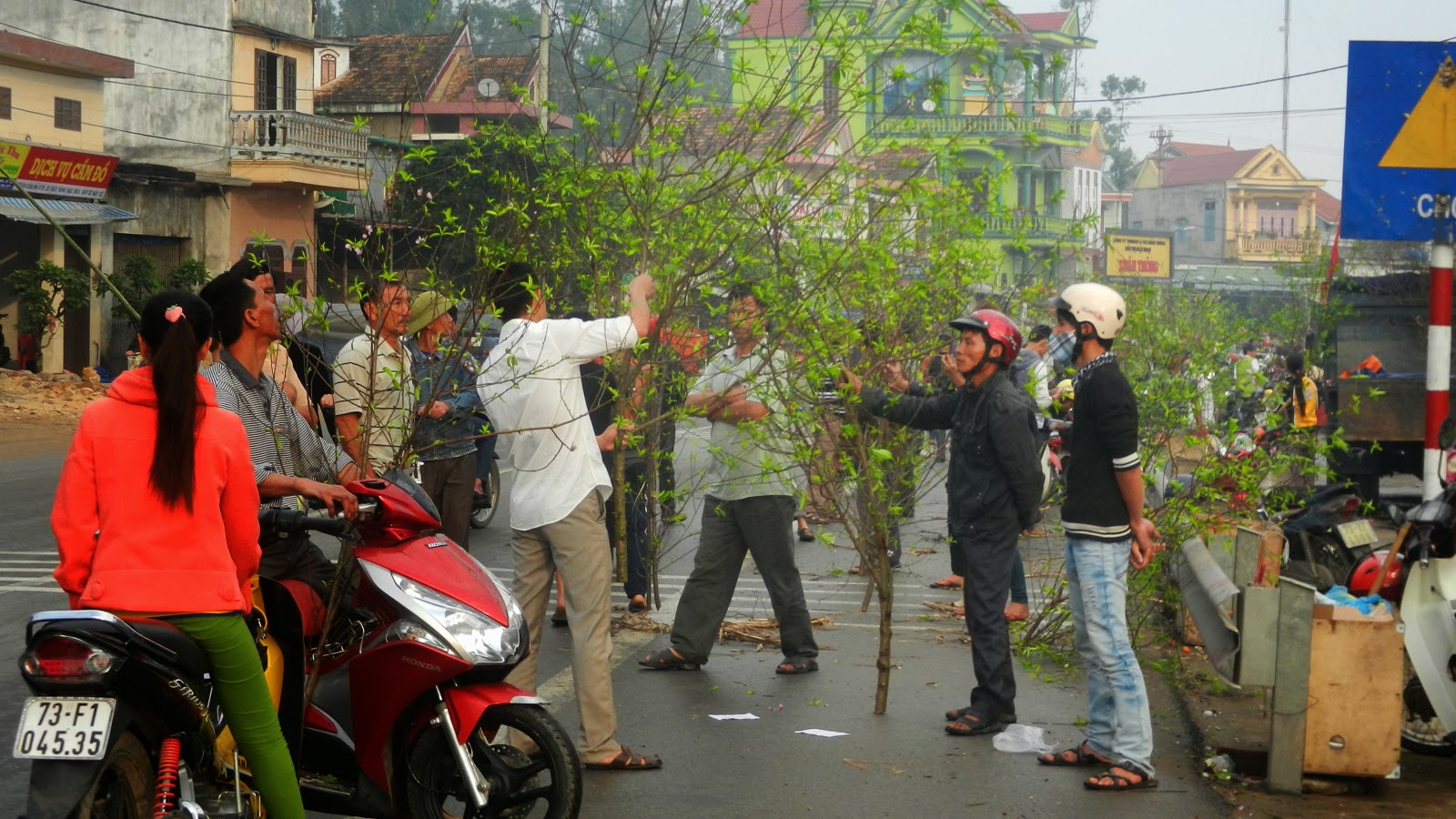 Làng hoa Lý Trạch rộn ràng vào Xuân