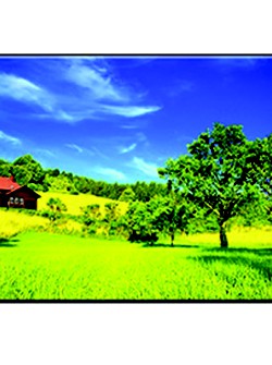 Tranh trang trí  07