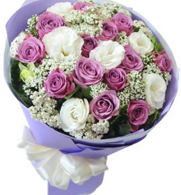 HOA HỒNG - VẪN ĐỢI CHỜ