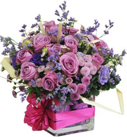 រ៉ូស - តារា ឃុយយ៉ា