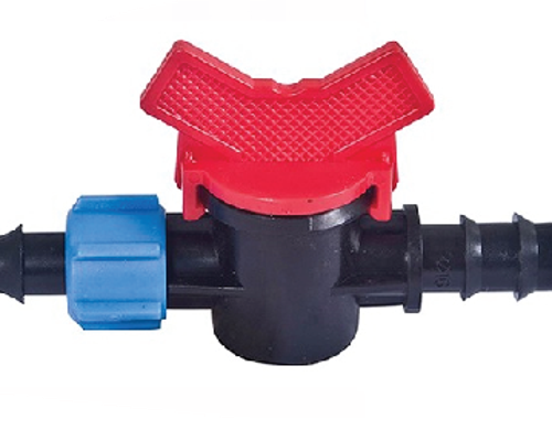 វ៉ានតូច