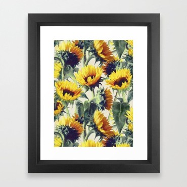 ស៊ុមរូបភាពផ្កាឈូករ័ត្ន