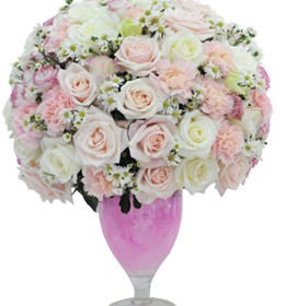 HOA HỒNG - ROSE RAPTURE