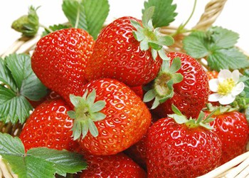 Nhận biết dâu tây Đà Lạt và Trung Quốc