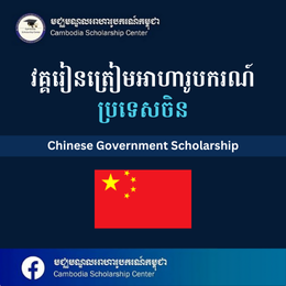 Chinese Government Scholarship