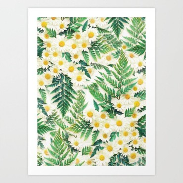 Dương Xỉ và Hoa Cúc