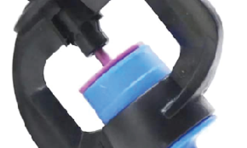 ក្បាលសាចទឹកតូច