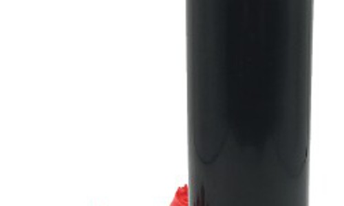 ក្បាលសាចស្រ្ពីងគ្ល័រ