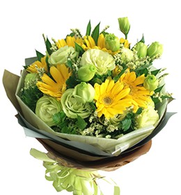 HOA ĐỒNG TIỀN - NGÀY MỚI