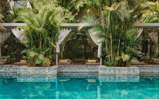 ផ្លេនថេស៊ិន អរបេន រីសត & ស្ប៉