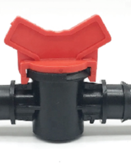 វ៉ានតូច