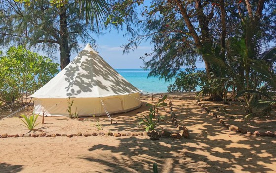 Sleeping Trees ក្រុងព្រះសីហនុ