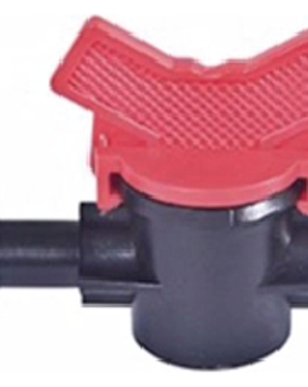 វ៉ានតូច