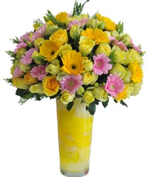 HOA ĐỒNG TIỀN - KÝ ỨC RỰC RỠ