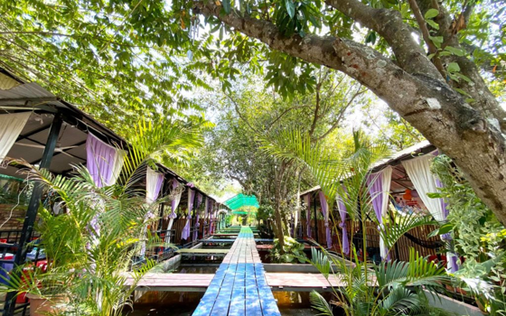 ជំនោរកោះនរា ធានីភ្នំពេញ