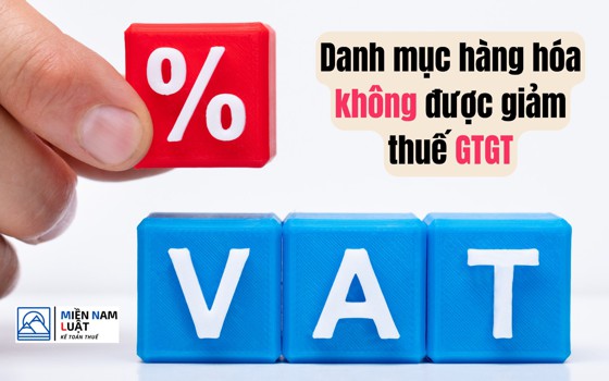 DANH MỤC HÀNG HÓA KHÔNG ĐƯỢC GIẢM GIẢM 2% THUẾ GTGT TỪ 1/7/2023 - KIẾN THỨC CẦN BIẾT