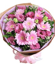 HOA ĐỒNG TIỀN - NGÀY MỚI 2