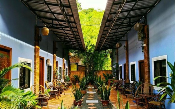 ផ្ទះសំណាក់ The Mango Tree​ ខេត្តកំពត