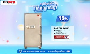 Digital Safe 500kg