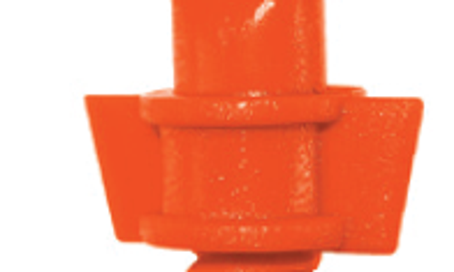 ក្បាលសាចទឹកតូច