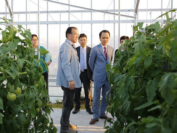 Lorem ipsum dolor sit amet, consectetur adipiscing elit, sed do eiusmod tempor incididunt ut labore et dolore magna aliqua 37