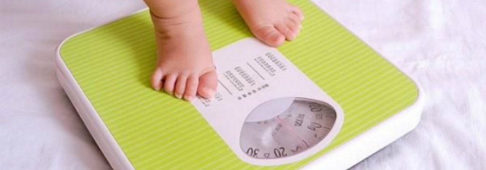 Nỗi ám ảnh nuôi con béo của nhiều bà mẹ