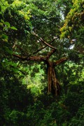 ឧ​ទ្យាន​ជាតិ​កែប