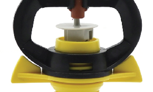 ក្បាលសាចទឹកតូច