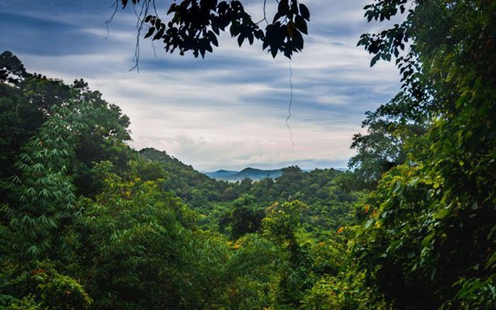 ឧ​ទ្យាន​ជាតិ​កែប 