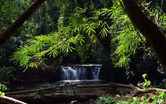 វប្បធម៌ ជនជាតិ​ដើម​ភាគតិច​ព្នង​ ខេត្តមណ្ឌលគិរី