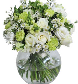 HOA HỒNG - NGÀY XANH