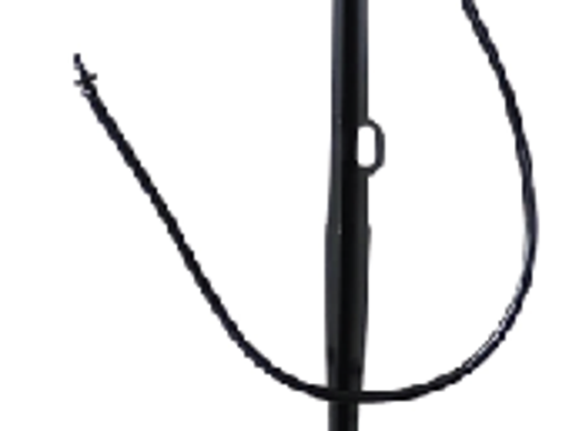  បង្គោលទ្រ