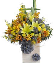 HOA LAN - VỮNG CHÍ VƯƠN XA