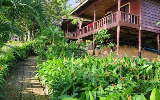 Sweet Jungle Bungalows នៅកោះរ៉ុង