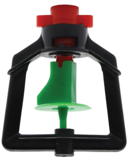 ក្បាលសាចទឹកតូច