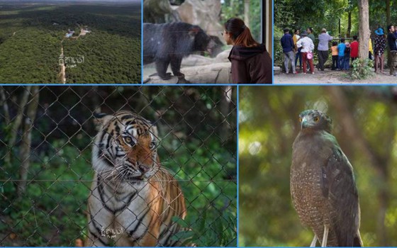 ឧទ្យានសួនសត្វ​ភ្នំតាម៉ៅ និងមជ្ឈមណ្ឌល​សង្គ្រោះសត្វព្រៃ