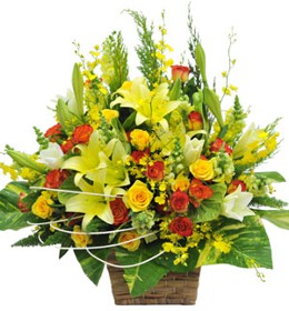 ផ្កាលីលី - សេរីភាព