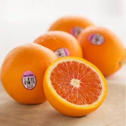 ទឹកក្រូចក្រហមអាមេរិច