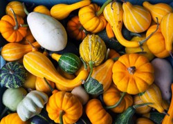 4 ចានលាយជាមួយល្ពៅសម្រាប់ទារកអាយុពី 6 ទៅ 8 ខែ