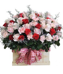 HOA HỒNG - GỬI NGƯỜI TÔI YÊU