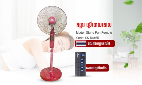 Fan   remote