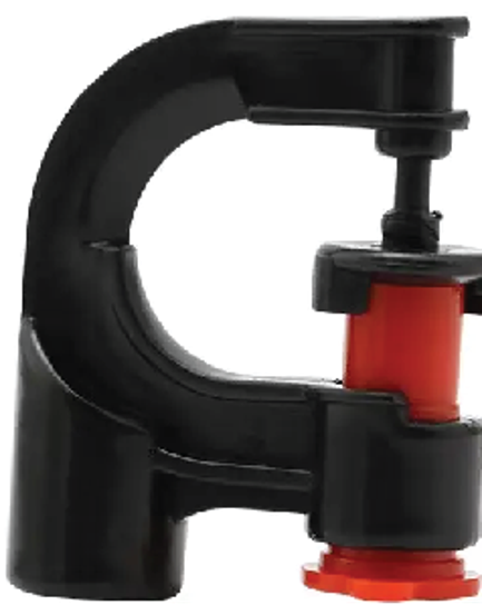  ក្បាលសាចទឹកតូច