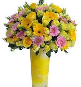 HOA ĐỒNG TIỀN - KÝ ỨC RỰC RỠ