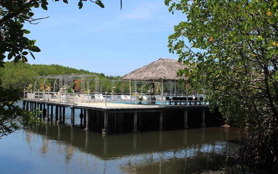 Mangrove Sanctuary Resort