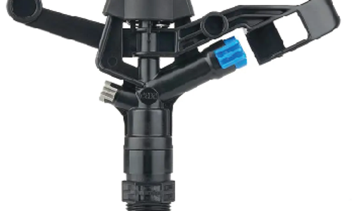  ក្បាលសាចស្រ្ពីងគ្ល័រ