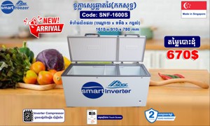 ទូក្លាស្សេឆ្លាតវៃ កកសុទ្ធ - SMART INVERTER