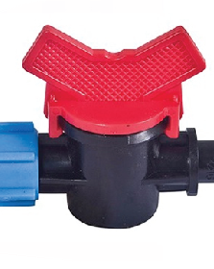 វ៉ានតូច