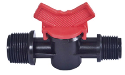 វ៉ានតូចធ្មេញក្រៅ