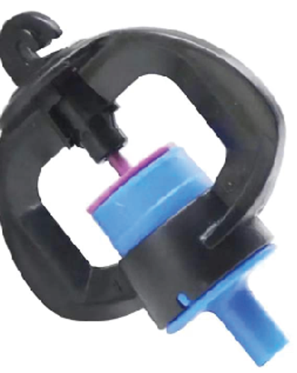 ក្បាលសាចទឹកតូច