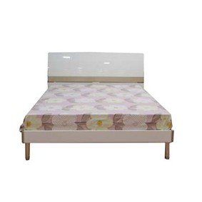 Giường ngủ người lớn số 1